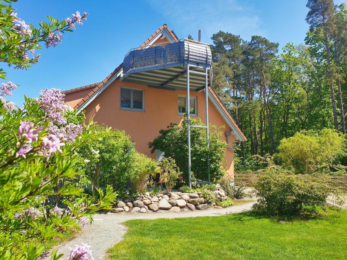 Fewo Am Wald Fewo 03 - Balkon, Gartennutzung, Sauna グロヴェ エクステリア 写真